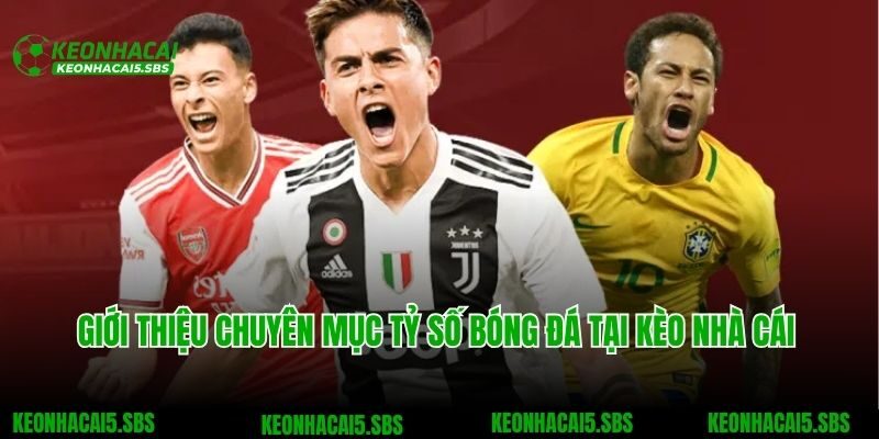 Giới thiệu chuyên mục tỷ số bóng đá tại Kèo nhà cái