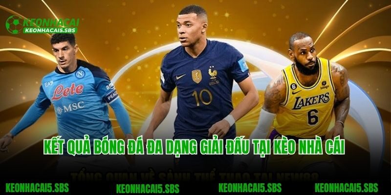 Kết quả bóng đá đa dạng giải đấu tại Kèo nhà cái