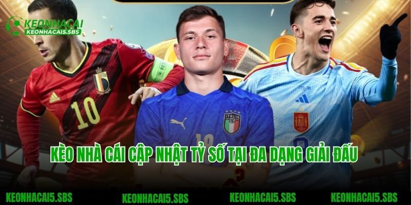 Tỷ số bóng đá tại Kèo nhà cái cập nhật đa dạng giải đấu