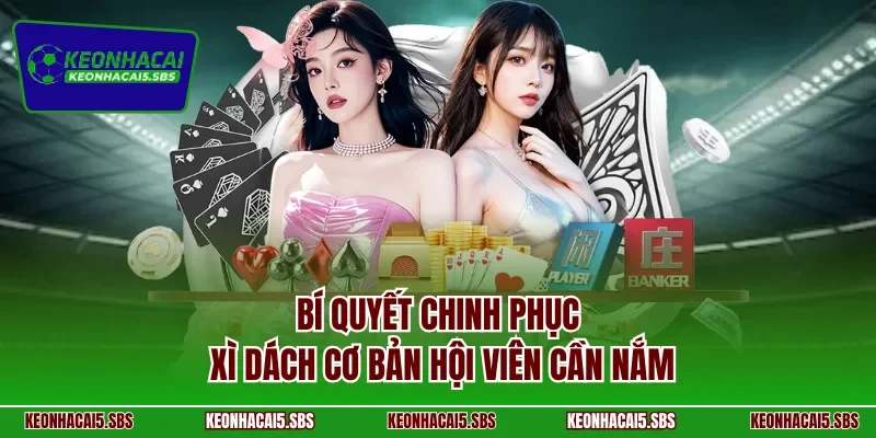 Bí quyết chinh phục xì dách cơ bản hội viên cần nắm