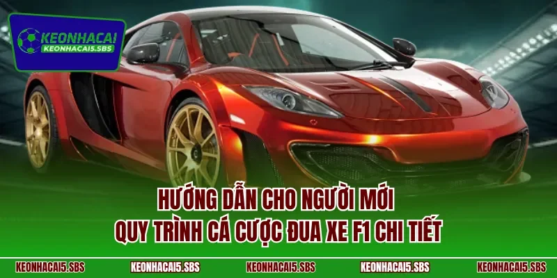 Hướng dẫn cho người mới quy trình cá cược đua xe F1 chi tiết
